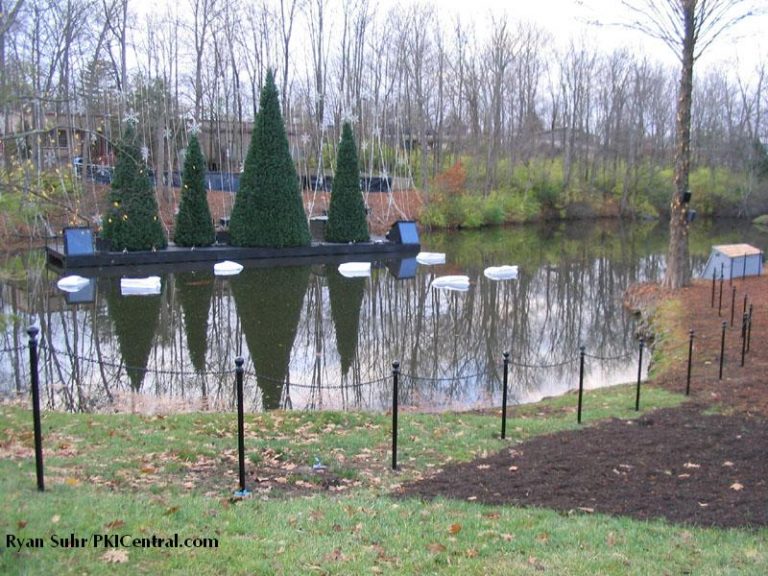 Holiday Illuminations